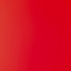 Meet your Posher, Blake